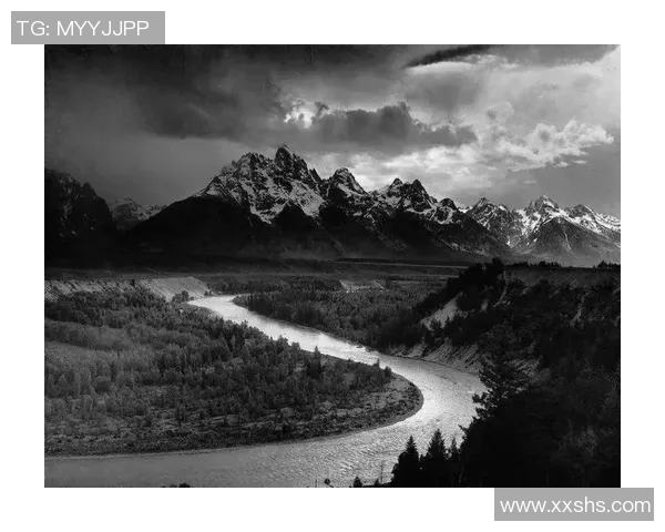 亚当斯的传奇人生与影响力探讨：从成就到遗产的全面分析